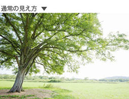 通常の見え方