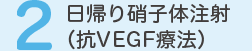 ２.日帰り硝子体注射（抗VEGF療法）