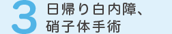 ３.日帰り白内障、硝子体手術